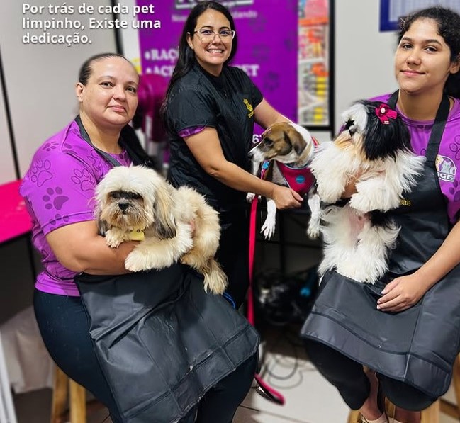 Cão e gato lado a lado, representando o cuidado da AGGE Petshop